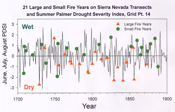 Graph of tree scar dates