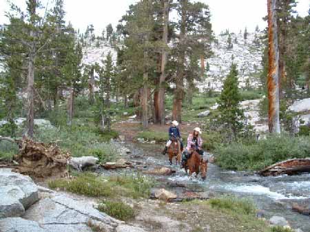 Horses near stream