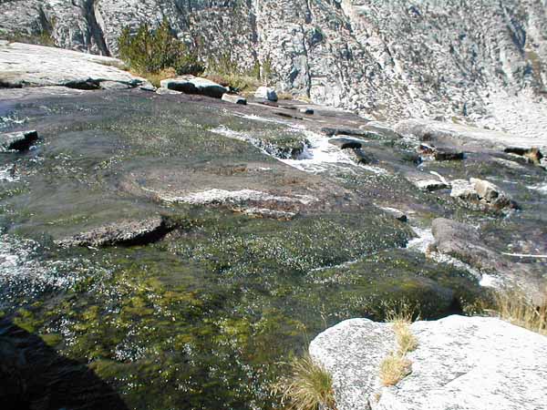 Algae, Evolution Lake