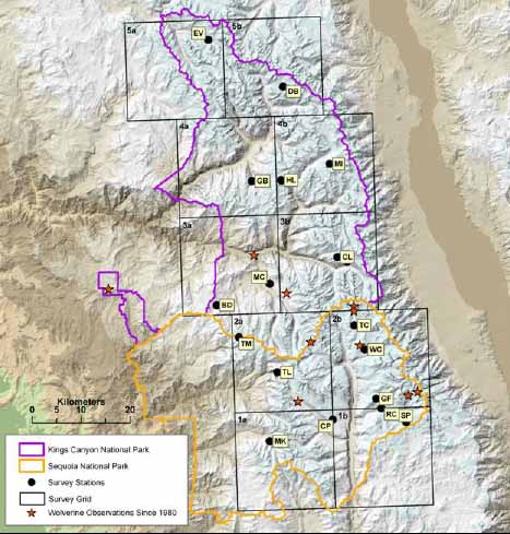 Wolverine Study area: Sequoia and Kings Canyon Parks